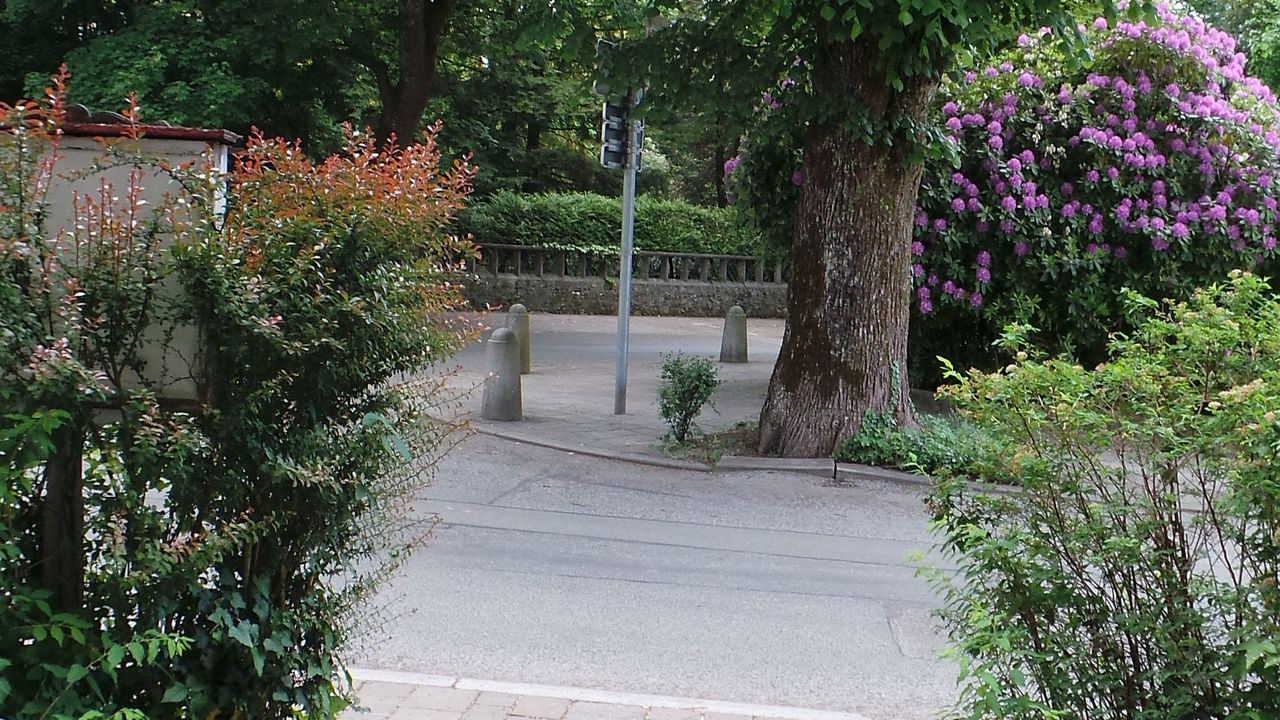 Ausgang Frühlingsstrasse Ausgang Frühlingsstrasse